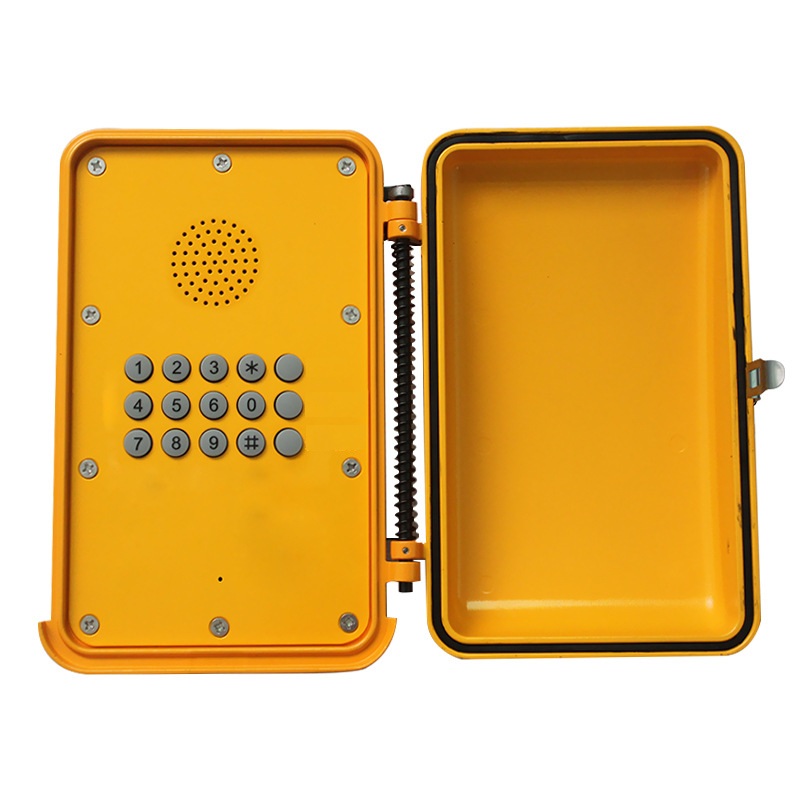 Téléphone marin