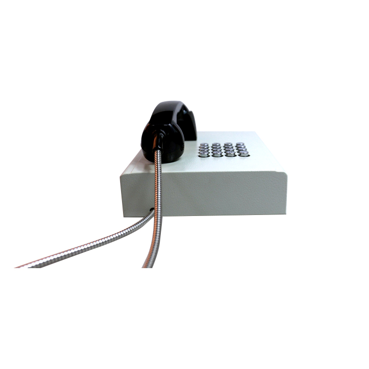 Téléphone de détenu