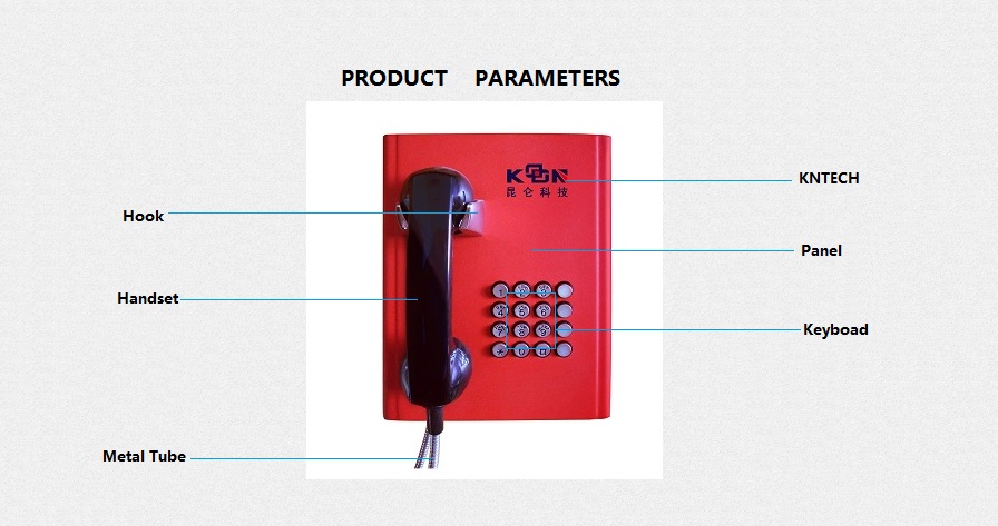 Inmate phone