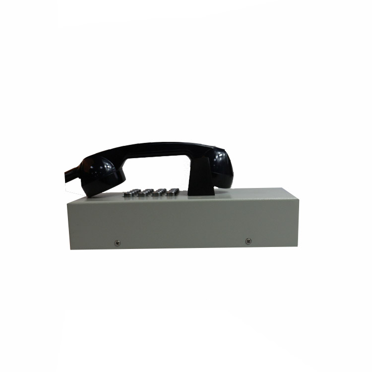 vandal proof phone