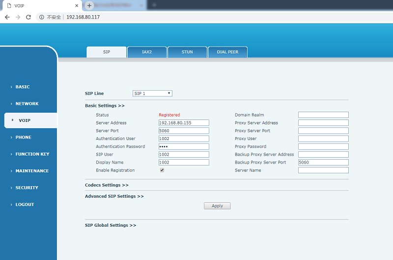 voip phone set sip server