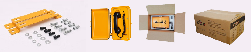 outdoor type telephone access