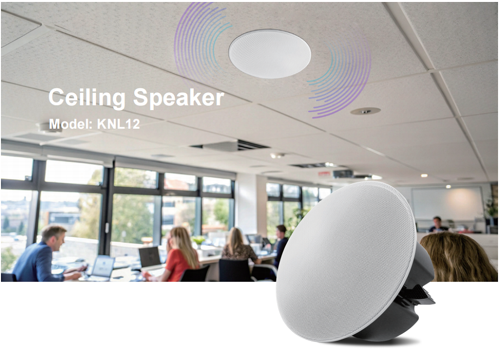 pa ceiling speakers