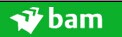 Royal BAM Group